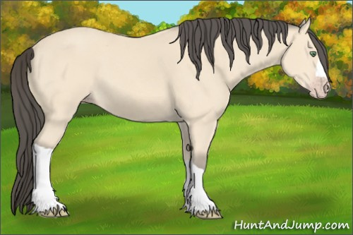 Horse Color: Amber Cream Champagne 