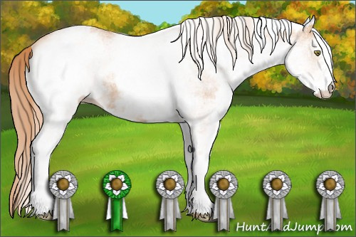 Horse Color: White Spotted Gold Champagne 