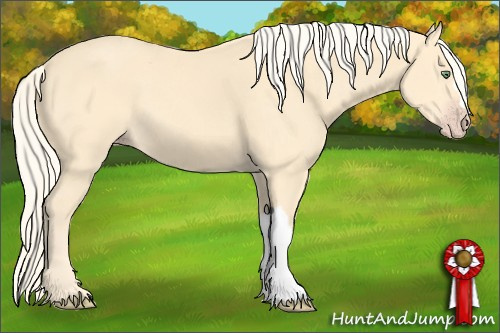 Horse Color: Gold Cream Champagne 