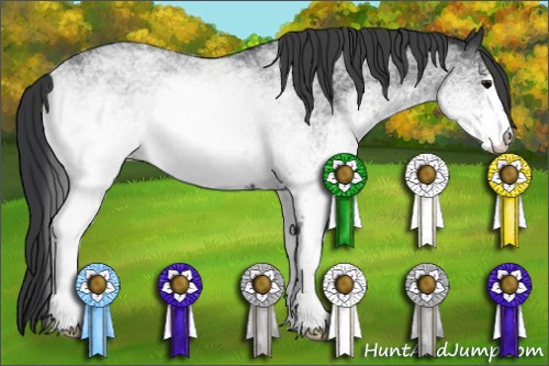 Horse Color: White Spotted Blue Roan Rabicano 