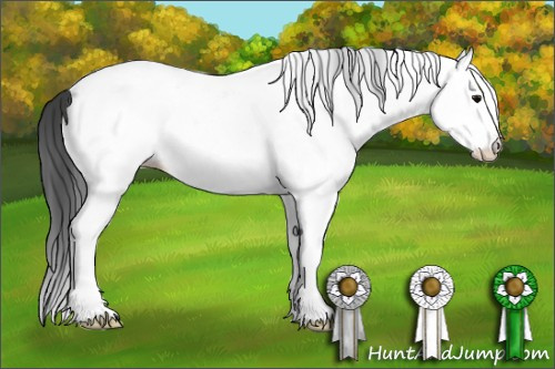 Horse Color: White Spotted Black Splash Near Fewspot 