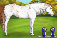 Horse Color:Chestnut Sabino Blanket Rabicano 