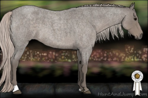 Horse Color: Silver Blue Roan 