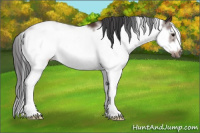 Horse Color:Brown Sabino Frame 