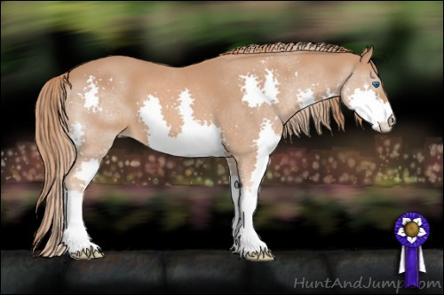 Horse Color: Liver Red Roan Splash 