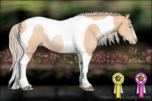 Horse Color: Chocolate Palomino Pearl Tobiano Rabicano 