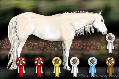 Horse Color: Chocolate Palomino Roan Pearl Sabino Splash 