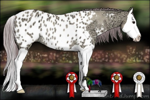 Horse Color: Watercolor Bay Ice Dun Splash Near Leopard Rabicano 