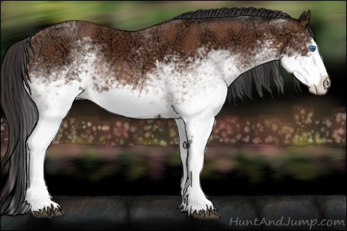 Horse Color: White Spotted Bay Ice Sabino Splash Rabicano 