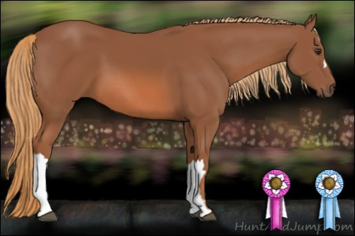 Horse Color: Liver Chestnut 
