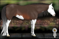 Horse Color:Brown Splash 