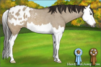 Horse Color:Gray Brown Roan Dun Splash Appaloosa