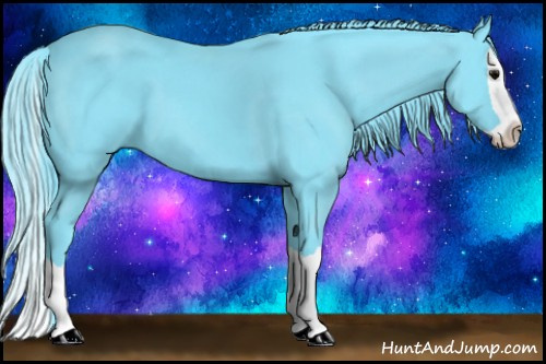 Horse Color: Watercolor Black Splash 