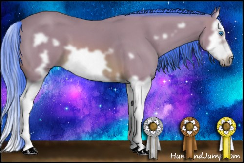 Horse Color: Watercolor Bay Splash Frame 