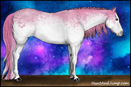 Horse Color: Watercolor White Spotted Chestnut Splash 
