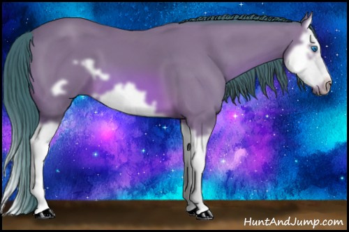 Horse Color: Watercolor Bay Splash Frame 