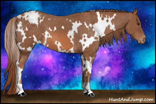 Horse Color: White Spotted Liver Chestnut Blanket 