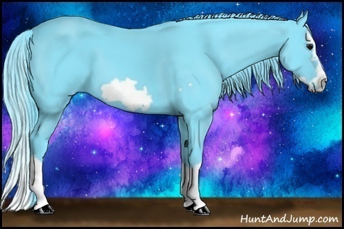 Horse Color: Watercolor Black Splash Frame 