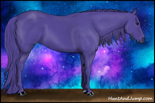 Horse Color: Watercolor Smoky Black 