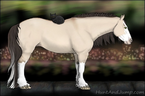 Horse Color: Amber Champagne Dun Splash 