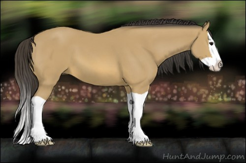 Horse Color: Buckskin Splash 