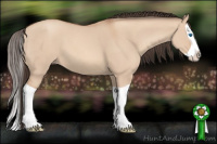 Horse Color:Amber Champagne Dun Splash 