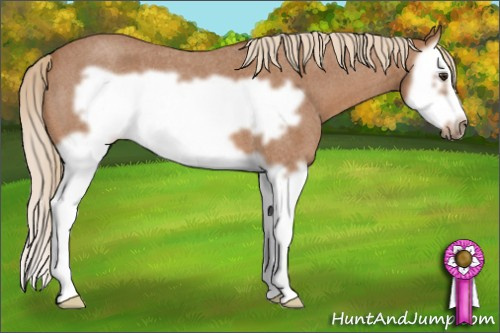Horse Color: Red Roan Splash Frame 