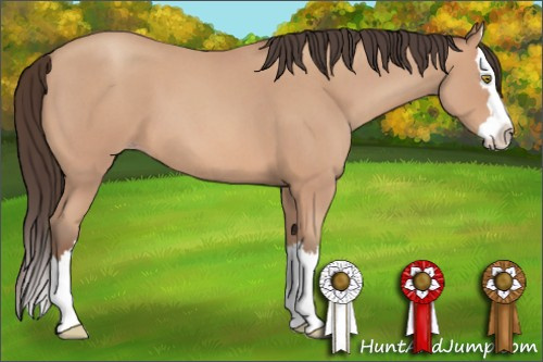 Horse Color: Amber Champagne Roan Splash 