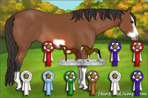 Horse Color: Bay Splash Frame 