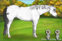 Horse Color:White Spotted Black Frame 