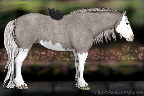 Horse Color: Silver Blue Roan Splash 