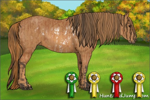 Horse Color: Bay Splash Frame  Brindle