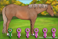 Horse Color:Chestnut Blanket 