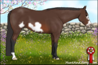 Horse Color:Bay Frame