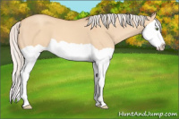 Horse Color:Silver Amber Champagne Dun Splash 