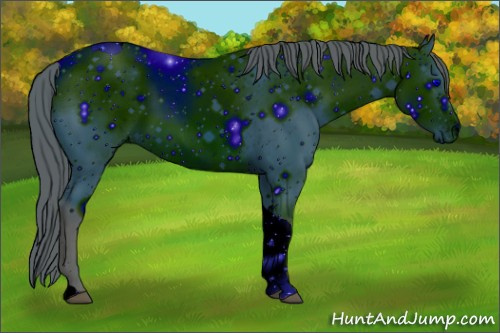 Horse Color: ERROR: UNKNOWN ANOMALY