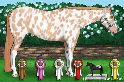 Horse Color: Gold Champagne Near Leopard 