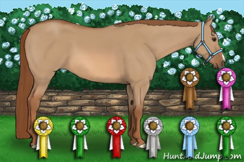 Horse Color: Red Dun 