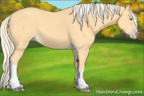Horse Color: Gold Cream Champagne 