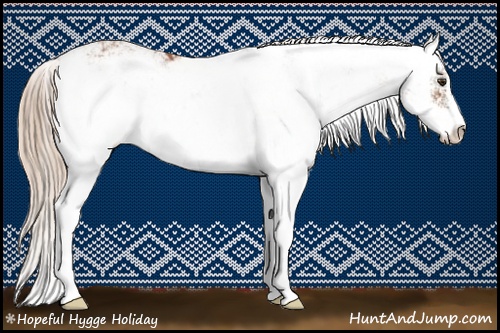 Horse Color: Chestnut Sabino 