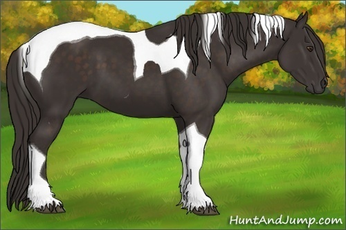 Horse Color: Liver Chestnut Tobiano 