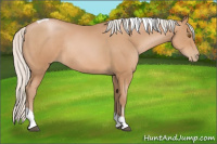 Horse Color:Silver Black Pearl Tobiano Rabicano 