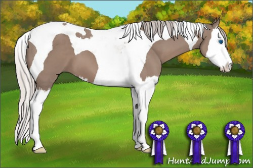 Horse Color: Silver Black Splash Tobiano 