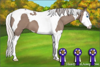 Horse Color:Silver Black Splash Tobiano 