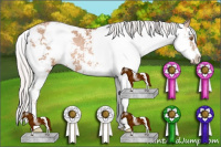Horse Color:Silver Black Pearl Sabino Rabicano
