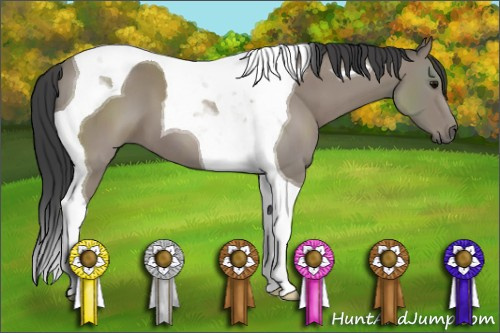 Horse Color: Black Tobiano 