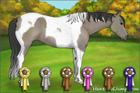 Horse Color:Black Tobiano 
