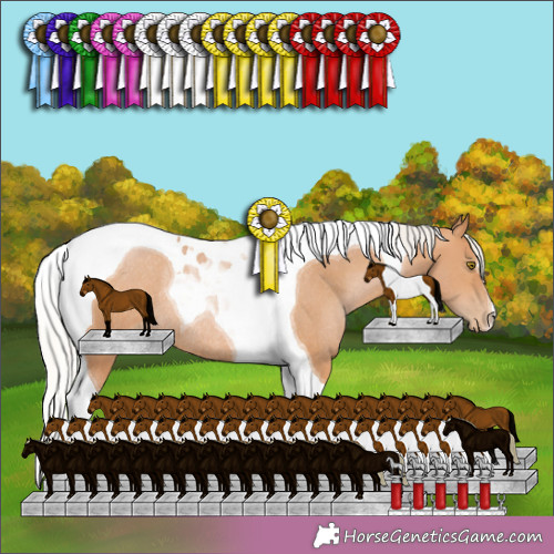 Horse Color: Silver Brown Pearl Tobiano Rabicano 