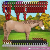 Horse Color:Black Pearl Sabino Tobiano Rabicano 