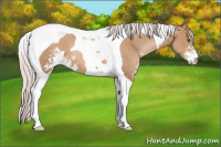 Horse Color:Silver Black Pearl Sabino Tobiano 